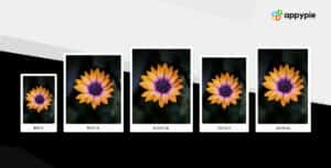Common photographic sizes