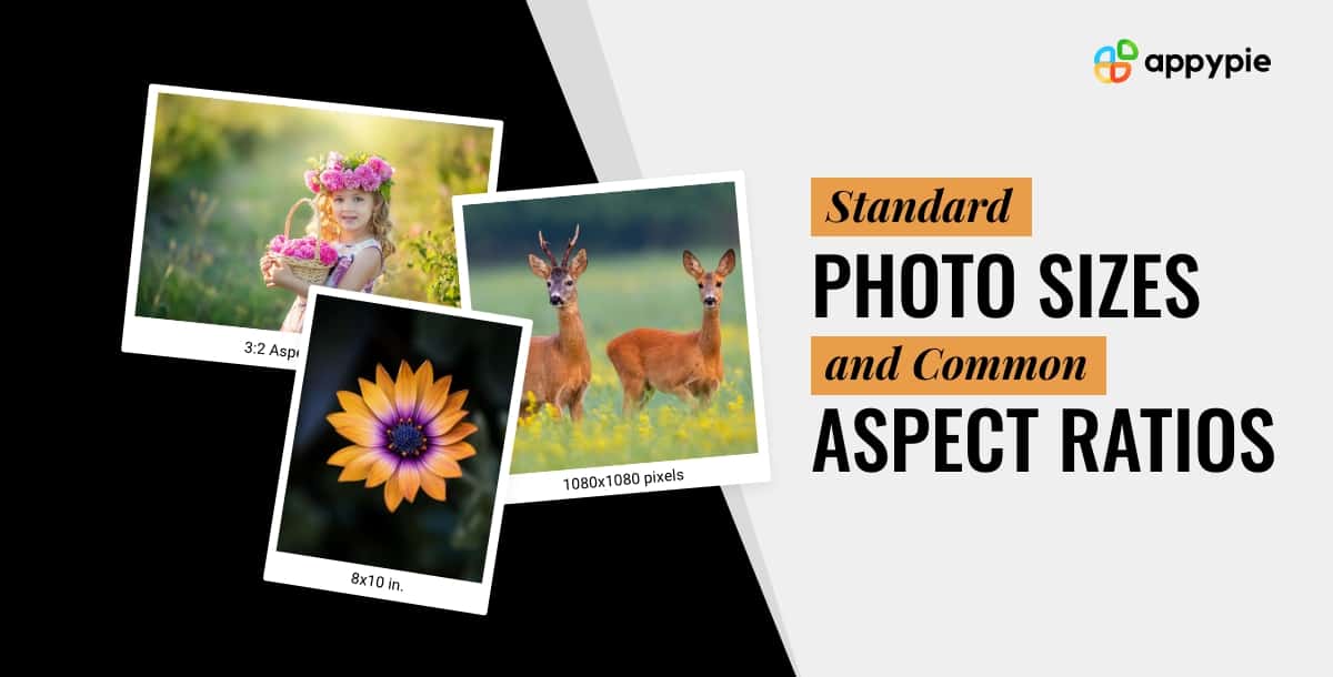 Standard Photo Sizes and Common Aspect Ratios