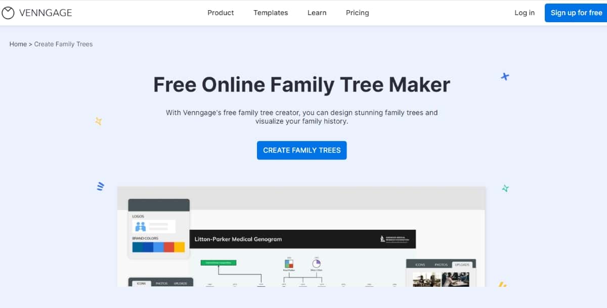 Venngage Family Tree Maker