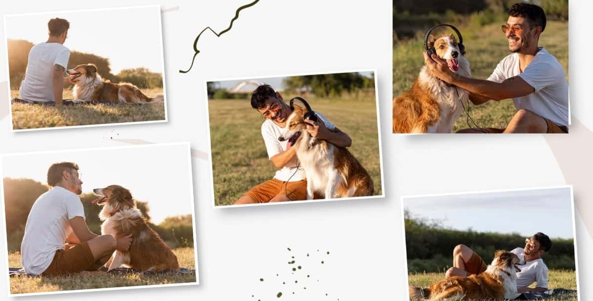 dog love