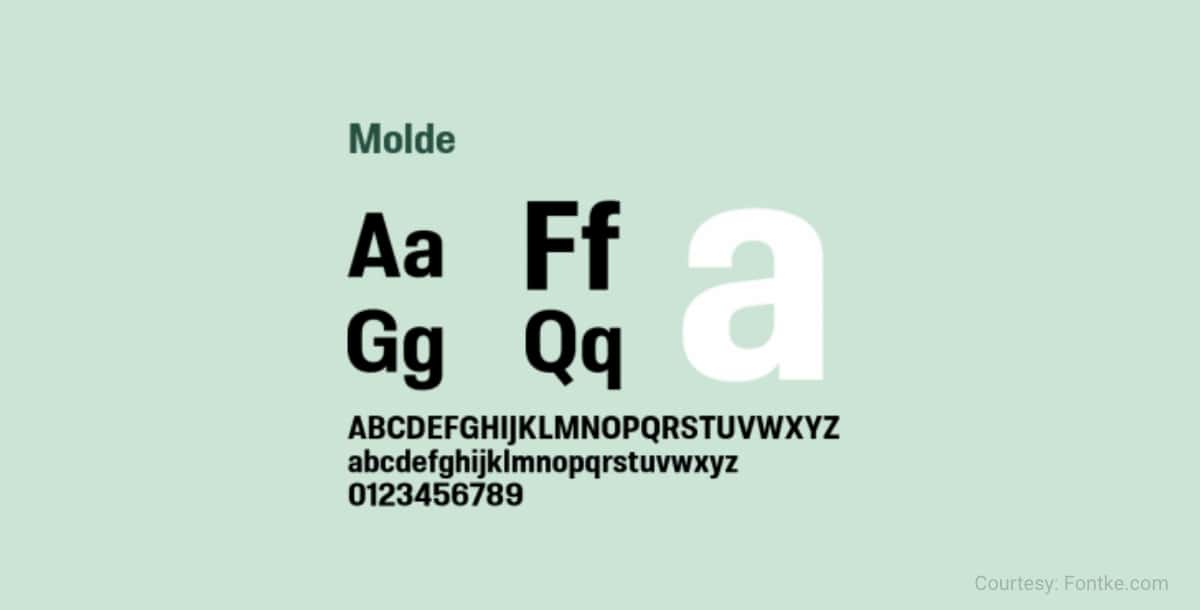 molde condensed
