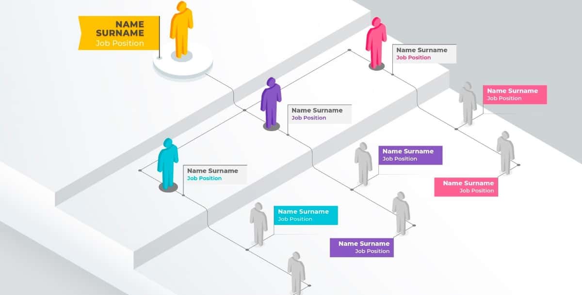 Career Path Infographics