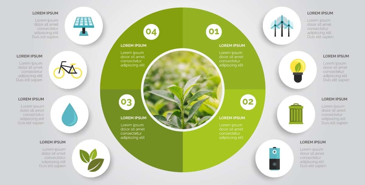 Environmental Infographics