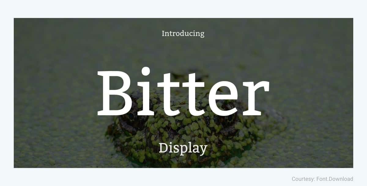 Free Minimalist Font Bitter