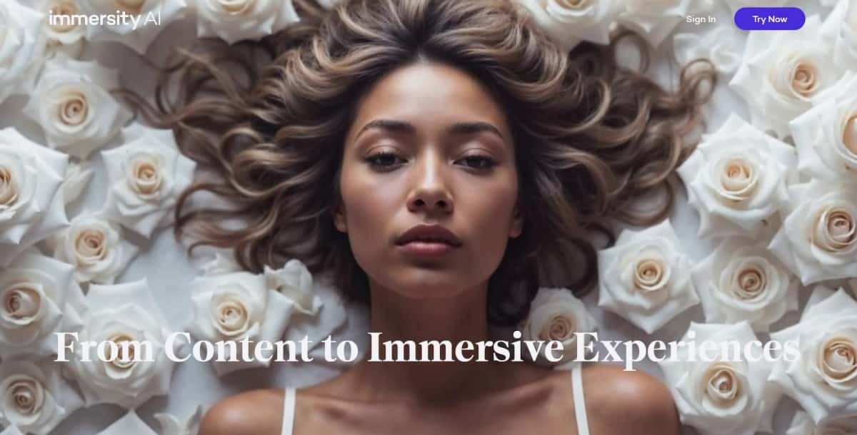 Immersity AI Best 2D to 3D Image Converter Tools