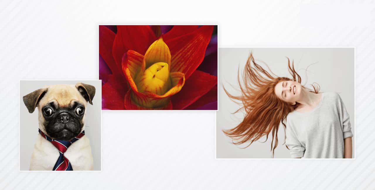 Using Stock Images - Pixazo