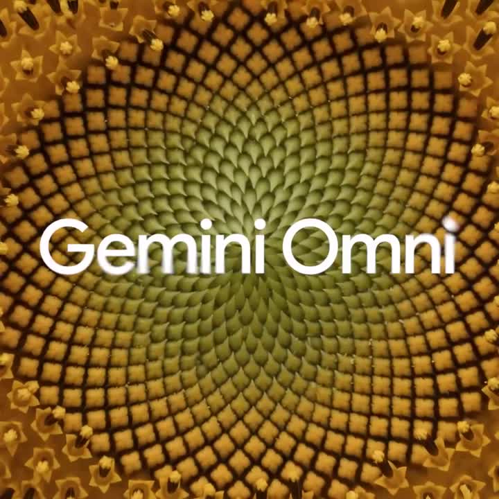Gemini Omni