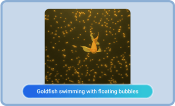 AI GIF Generator