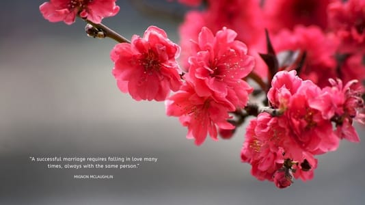 Flower design by Mika Tanaka