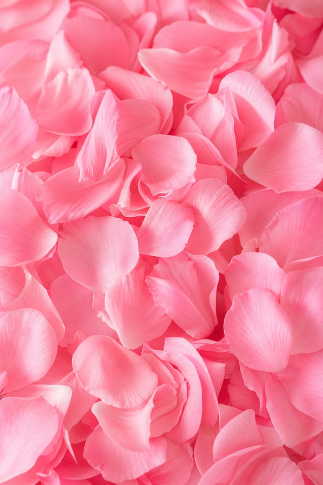 Pink Background — photo-realistic style background image, featuring soft pink palette, romantic or playful imagery