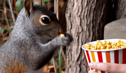 Generador de GIF con IA gratis