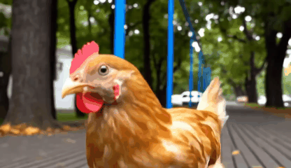 Generador de GIF gratis