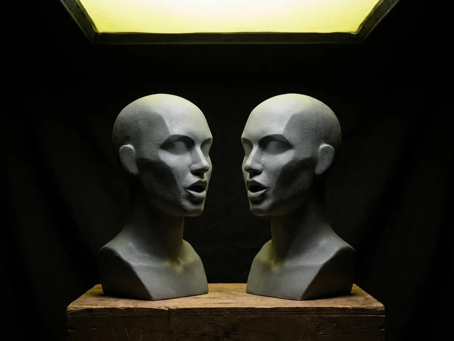 Illustration : deux têtes sculptées dans le même plan, toutes deux de face, créée avec Pixazo AI