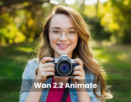Wan 2.2 Animate
